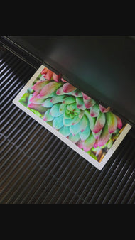 Vibrant Spring Succulents Canvas Wall Art Set of 6 — Unframed Square Macro Photography Prints