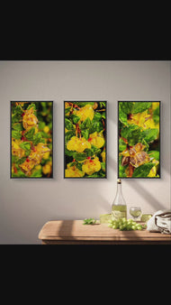 Yellow Flowers with Raindrops Photography | Set of 3 Vertical Unframed Canvas Prints | Nature Wall Art for Home & Office