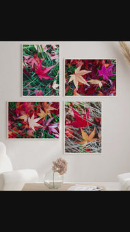 Autumn Vibrant Leaves Authentic Macro Photography | Unstretched Canvas Prints Set of 4 Mixed Orientation Wall Art | Biophilic Style Decor