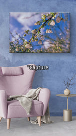White Spring Blossom with Raindrops | Macro Floral Photography on Horizontal Wrapped Canvas | Modern Botanical Wall Art for Home & Office Décor