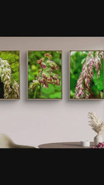 Wetland Grass with Raindrops - Authentic Macro Photography - Unframed Canvas Vertical 3 Prints Set - Biophilic Style Wall Art Decor