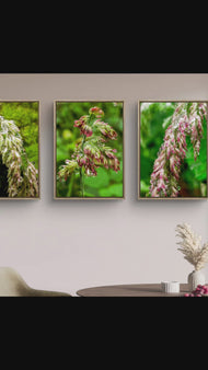 Wetland Grass with Raindrops - Authentic Macro Photography - Unframed Canvas Vertical 3 Prints Set - Biophilic Style Wall Art Decor