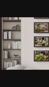 Apple Blossom Raindrop Canvas Print Set of 4 | Capture Spring's First Rain | Authentic Macro Photography | Biophilic Horizontal Wall Art for Home Décor