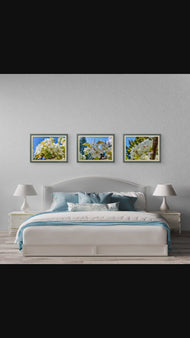 Sunny Cherry Blossom Macro Photography Canvas Set of 3 | Unframed Horizontal Prints | Biophilic Décor for Living Room, Bedroom & Office