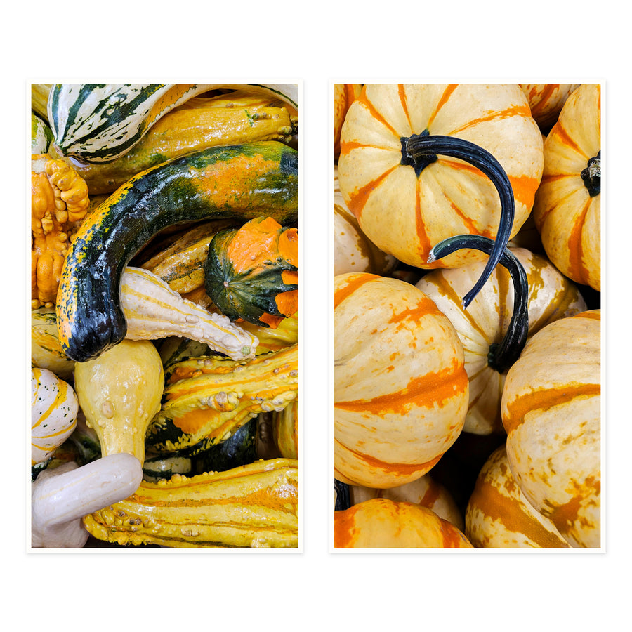 Pumpkin Canvas Wall Art Set of 2