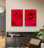 Red Rose Canvas Prints Set of 2 | Authentic Nature Closeup Photography |Unframed Vertical Botanical Wall Art | Modern Home Office Decor | Premium Floral Art Collection