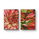 Red Succulent Wall Art Set of 2 | Unframed Vertical Canvas Prints | Botanical Home Décor by The Virtue of God | Aesthetic Closeup Photography