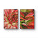 Red Succulent Wall Art Set of 2 | Unframed Vertical Canvas Prints | Botanical Home Décor by The Virtue of God | Aesthetic Closeup Photography