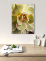 Spring Yellow Succulent Plant  | Nature Macro Photography Print |  Vertical Gallery Wrapped Canvas | Biophilic Style Wall Art