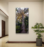 Summer Tree in Sunset | Authentic Nature Closeup Photography | Gallery Wrapped Canvas Vertical Print | Biophilic Wall Art for Home Decor