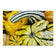 Fall Harvest Gourds Wrapping Paper | Authentic Nature Photography Gift Wrap | 3 Large Sheets | Autumn Thanksgiving Gift Wrap