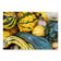 Fall Harvest Gourds Wrapping Paper | Authentic Nature Photography Gift Wrap | 3 Large Sheets | Autumn Thanksgiving Gift Wrap