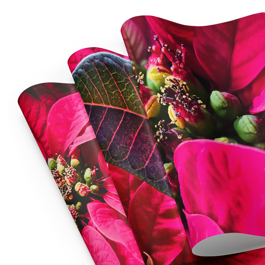 Red Poinsettia Premium Gift Wrap with Authentic Macro Photography