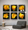 Yellow Roses in Sunlit Canvas Wall Art Square Set of 6 | Authentic Closeup Photography Unframed Prints | Biophilic Home Office Decor