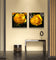 Yellow Roses in Sunlit Canvas Wall Art Square Set of 6 | Authentic Closeup Photography Unframed Prints | Biophilic Home Office Decor