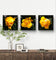Yellow Roses in Sunlit Canvas Wall Art Square Set of 6 | Authentic Closeup Photography Unframed Prints | Biophilic Home Office Decor