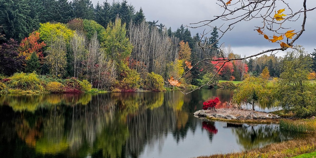 Autumn trees in red, gold and green reflected in a calm lake under a grey sky β nature photograph by Martha Solo